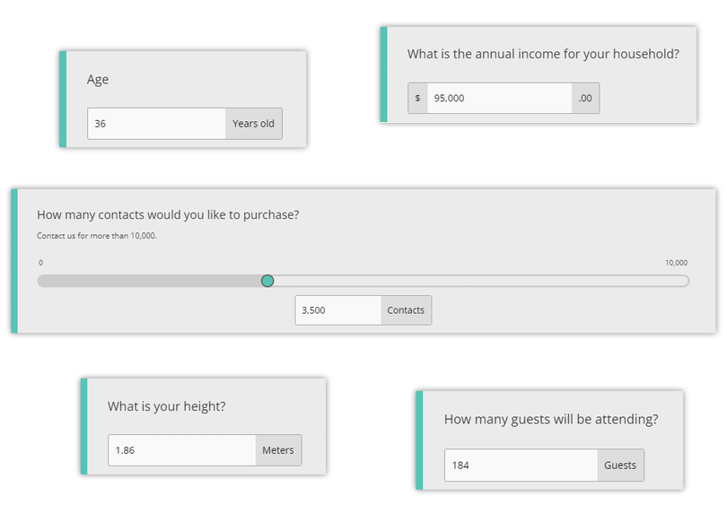 Numeric Question Types Such As Integer, Decimal, Numeric Slider, Age and Currency